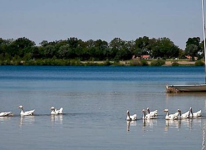 Resort Boschmolenplas