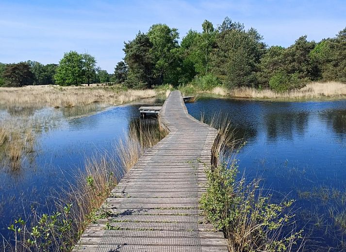 Glamping Franse Peer