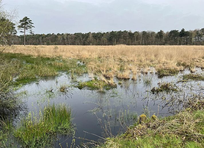 Glamping Franse Peer