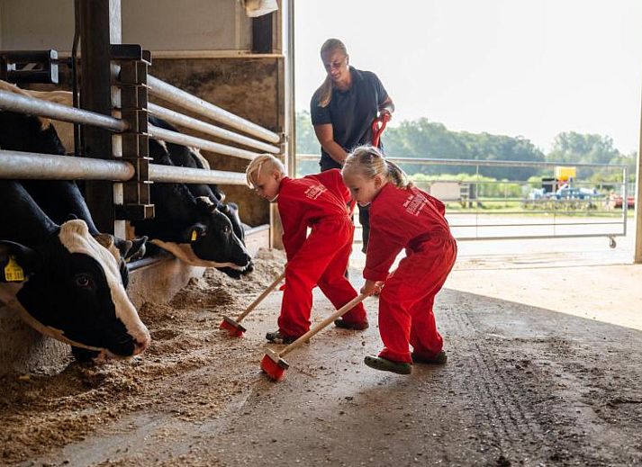 FarmCamps De Kalverliefde