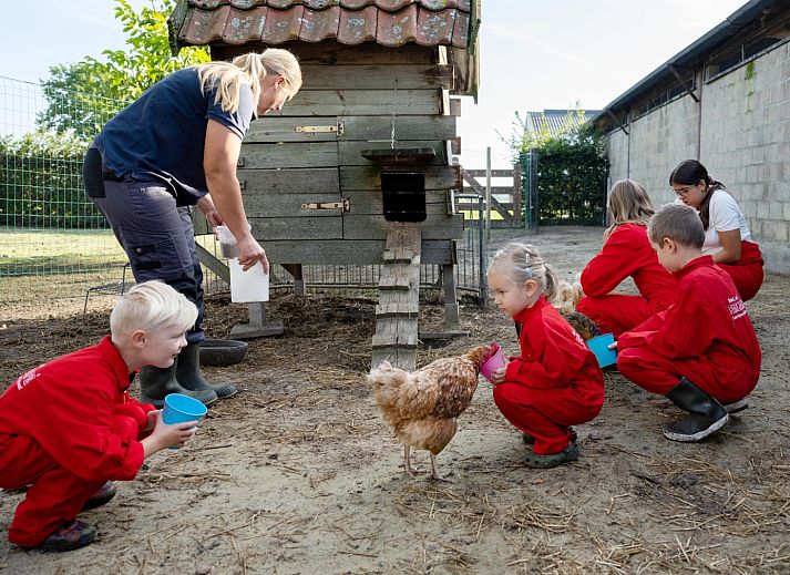 FarmCamps De Kalverliefde