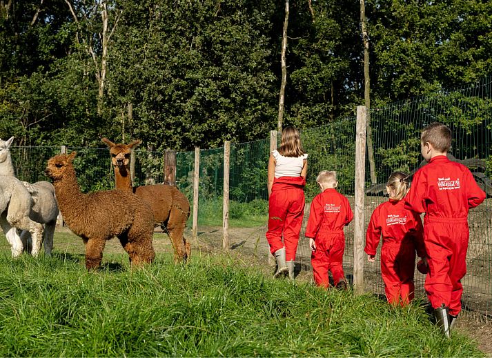 FarmCamps De Kalverliefde