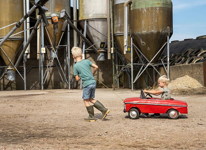 FarmCamps De Kalverliefde