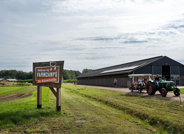 FarmCamps De Kalverliefde