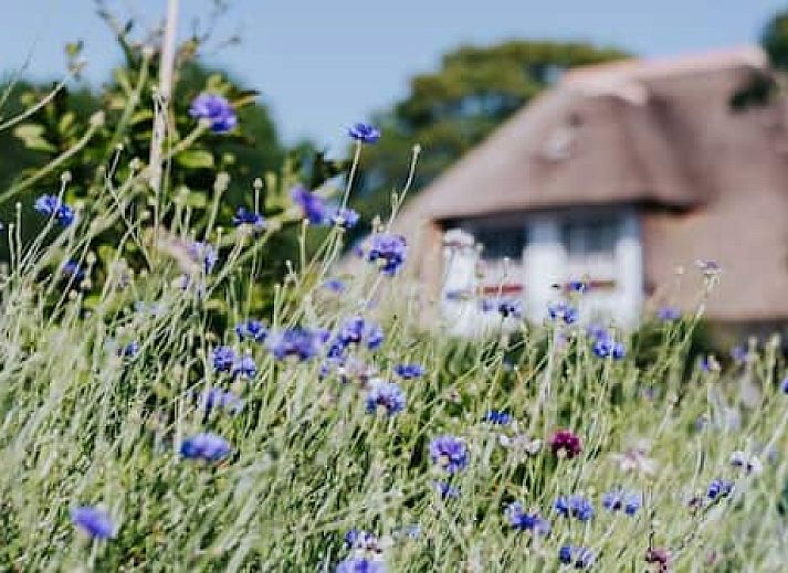 Recreatiepark Het Eperwoud