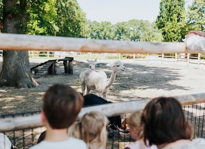 Recreatiepark Het Eperwoud