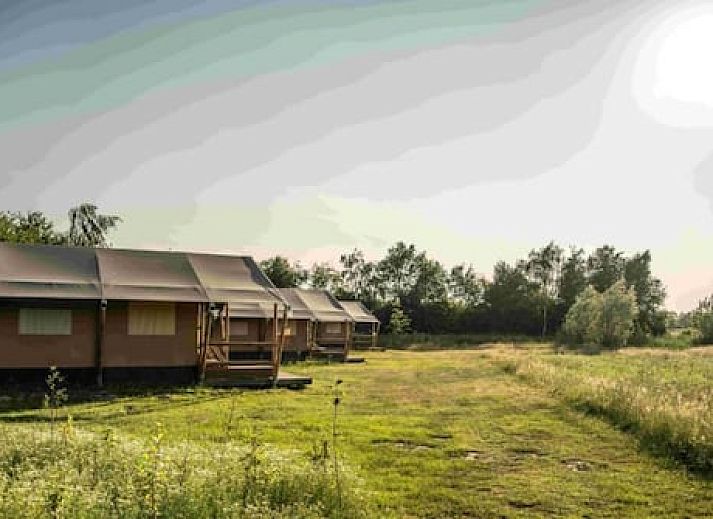 Erfgoed Bossem - Glamping