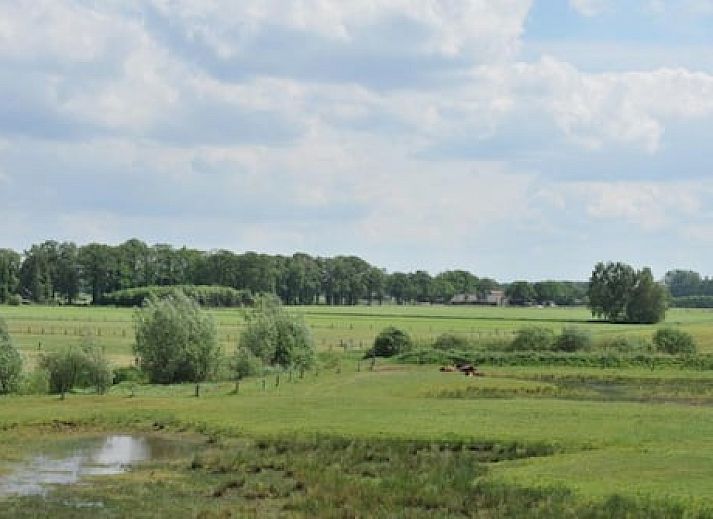 Erfgoed Bossem - Glamping