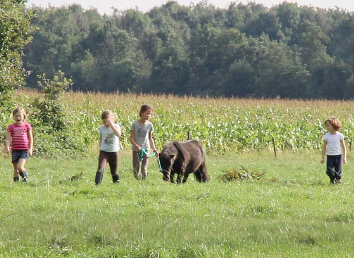 BoerenBed De Lange Weide