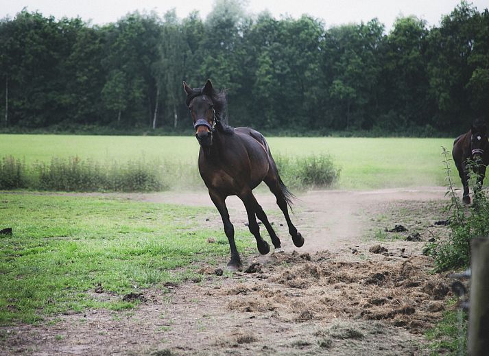 BoerenBed De Lange Weide