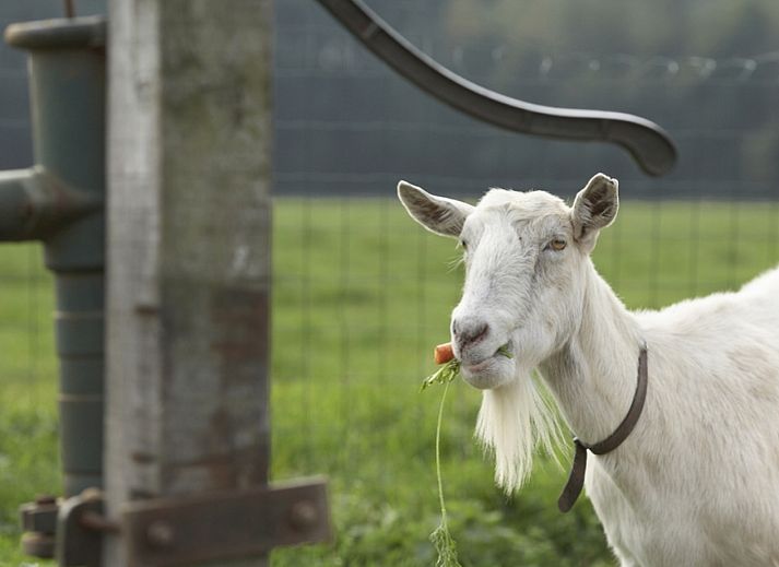 BoerenBed De Lange Weide