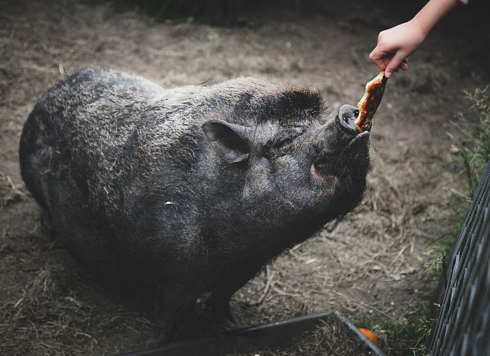 BoerenBed De Lange Weide
