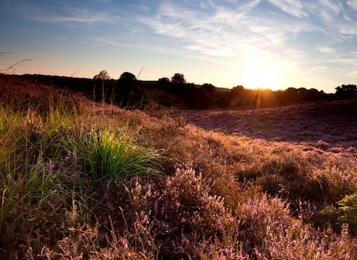 Recreatiepark De Boshoek