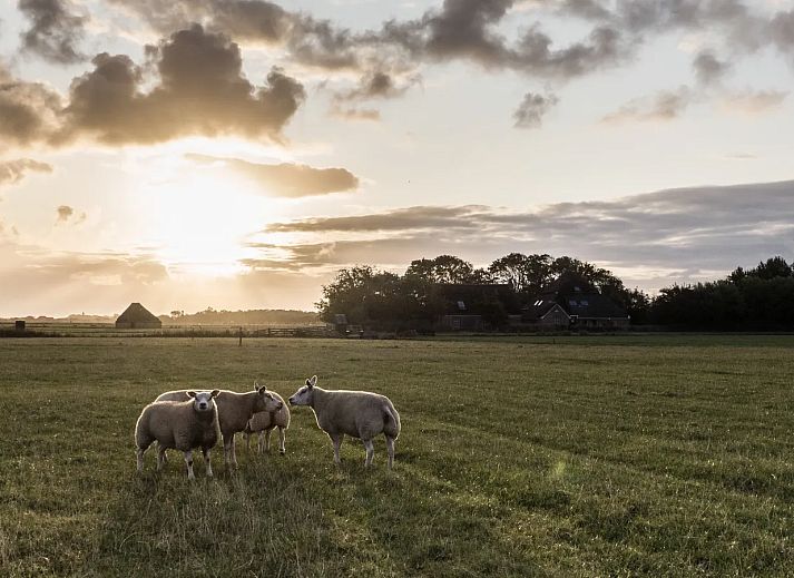 Beach Park Texel