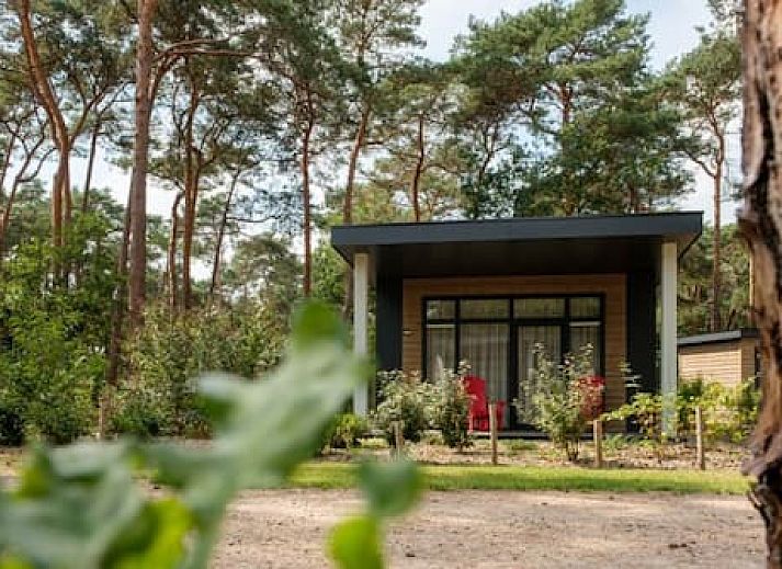 Vakantiepark de Kleine Belties