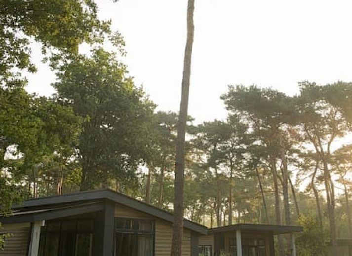 Vakantiepark de Kleine Belties