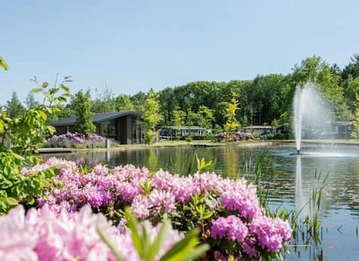Vakantiepark Molenvelden