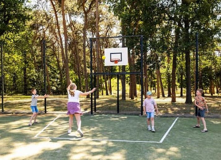 Vakantiepark Molenvelden