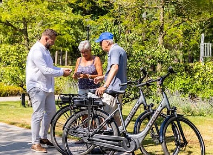 Vakantiepark Molenvelden