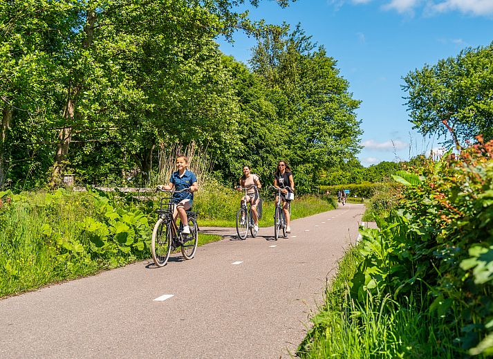 EuroParcs De Woudhoeve