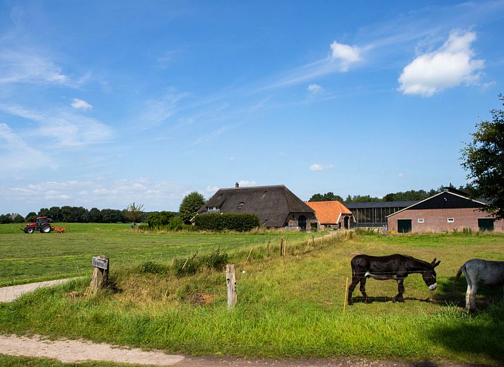 BoerenBed Het Wesselink in Salland