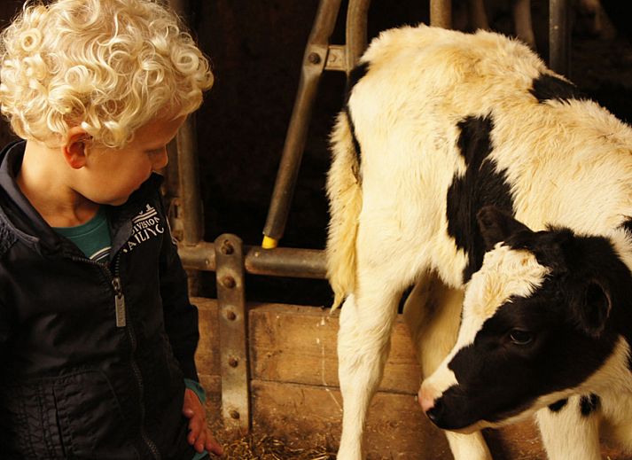 BoerenBed Het Wesselink in Salland