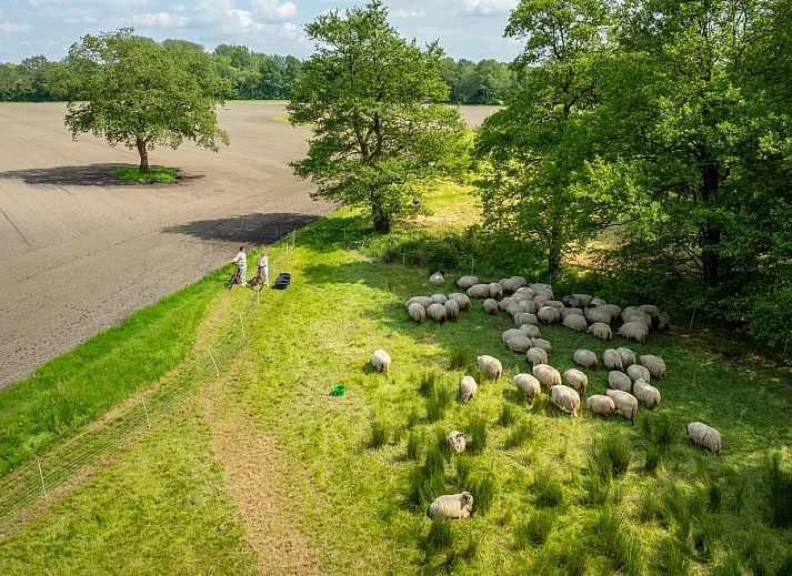 Landal Orveltermarke