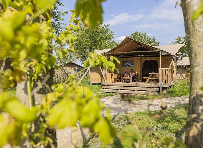 Roompot Glamping Lauwersmeer