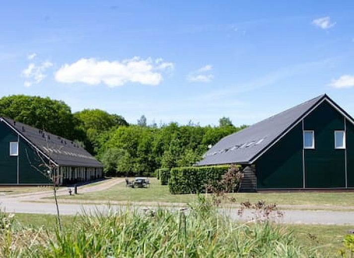 Horsetellerie Rheezerveen