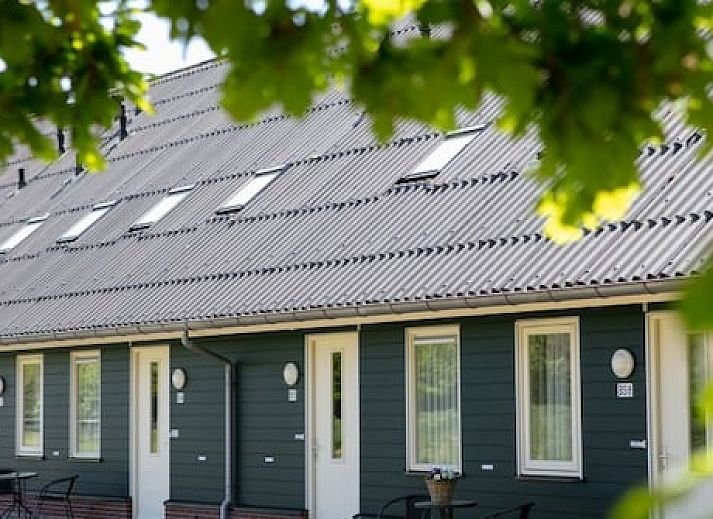 Horsetellerie Rheezerveen