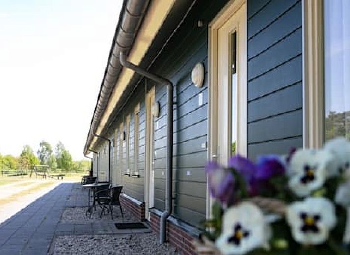 Horsetellerie Rheezerveen