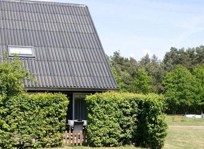 Horsetellerie Rheezerveen