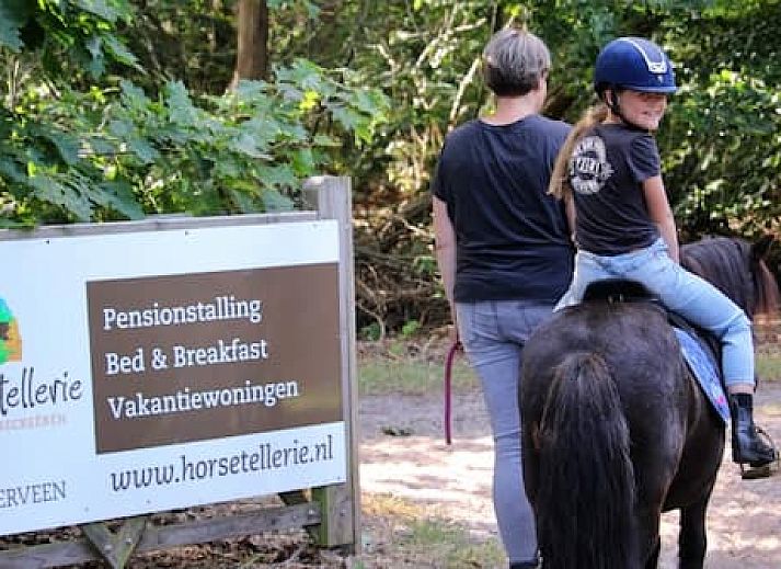 Horsetellerie Rheezerveen