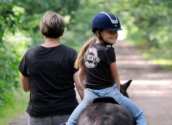 Horsetellerie Rheezerveen