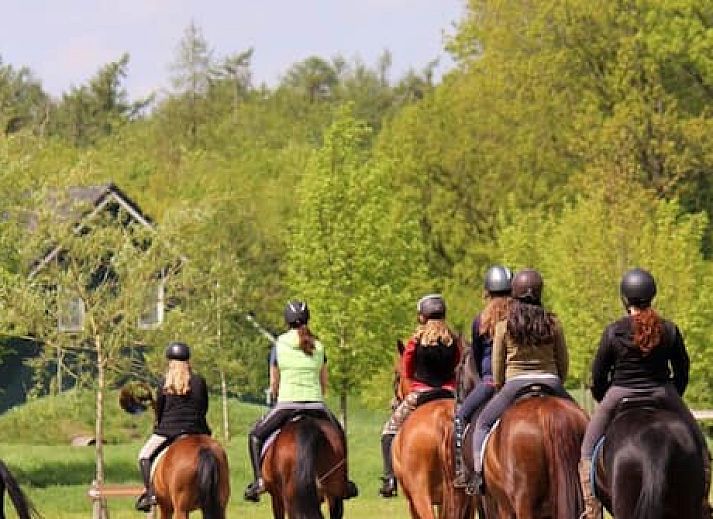 Horsetellerie Rheezerveen