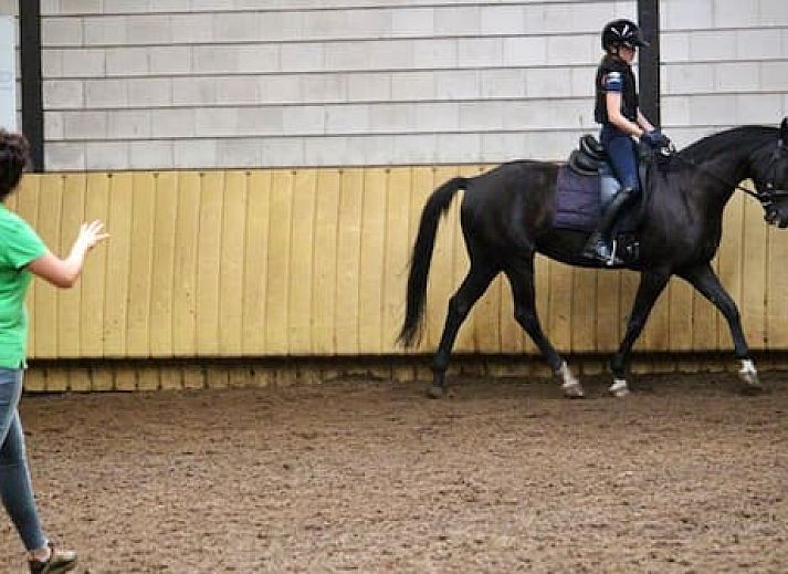 Horsetellerie Rheezerveen