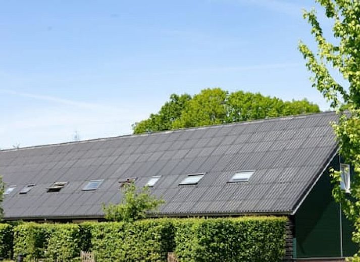 Horsetellerie Rheezerveen