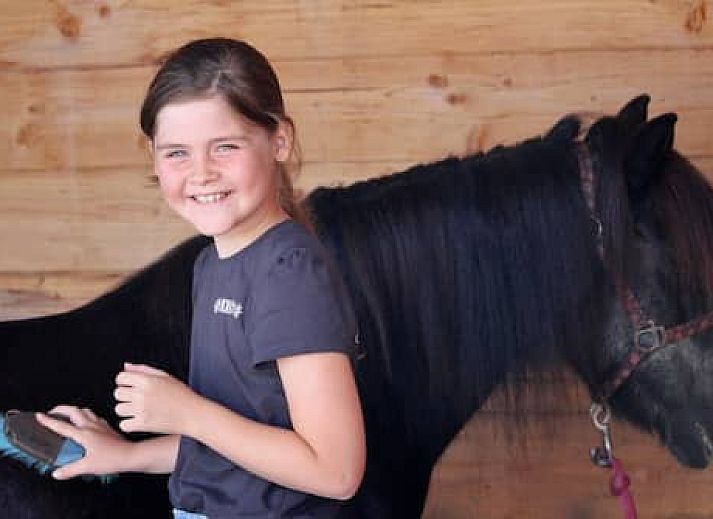 Horsetellerie Rheezerveen