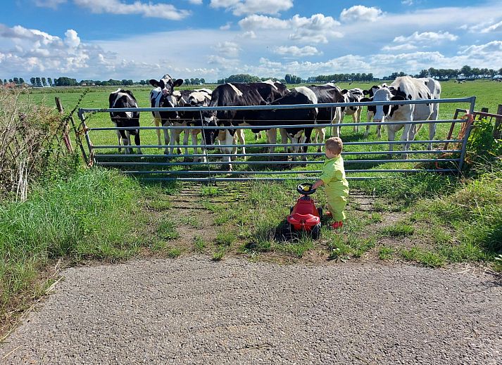 FarmCamps Kooij Hoeve
