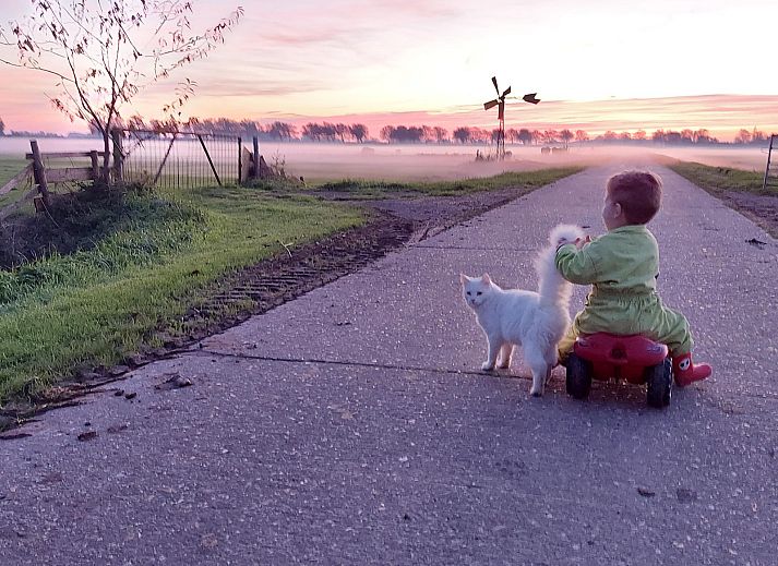 FarmCamps Kooij Hoeve