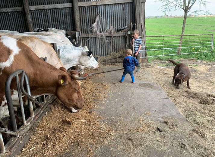 Boerencamping Swarthoeve