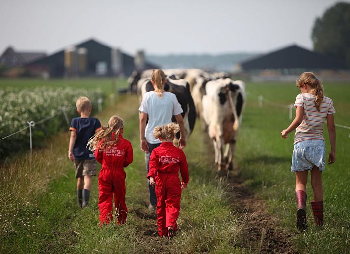 FarmCamps Op Flakkee