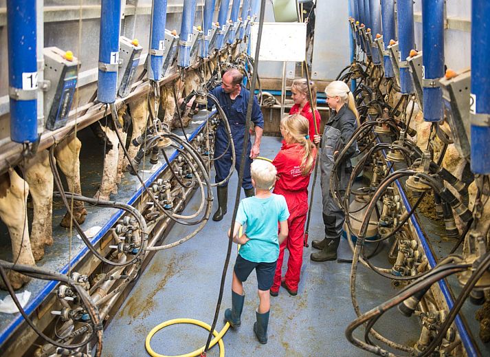 FarmCamps Op Flakkee