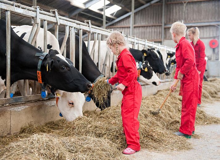 FarmCamps Op Flakkee