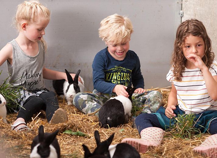 FarmCamps Op Flakkee