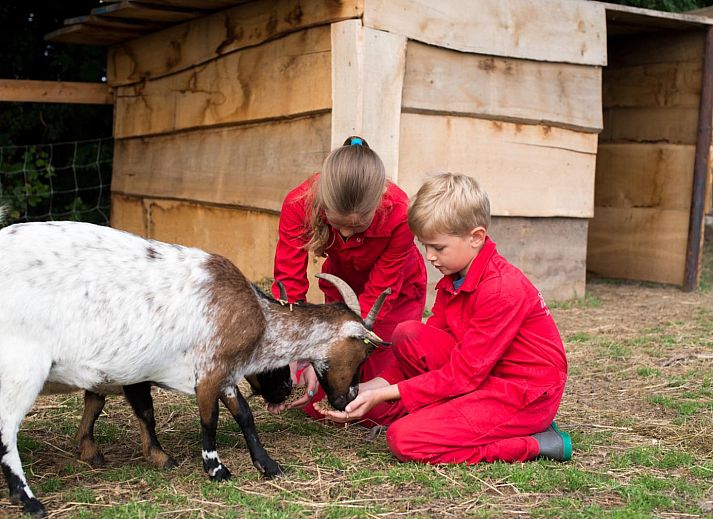 FarmCamps Op Flakkee