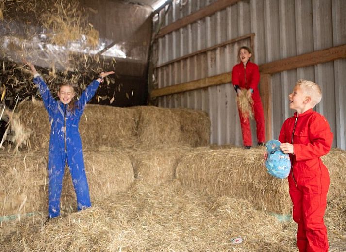 FarmCamps De Bosrand