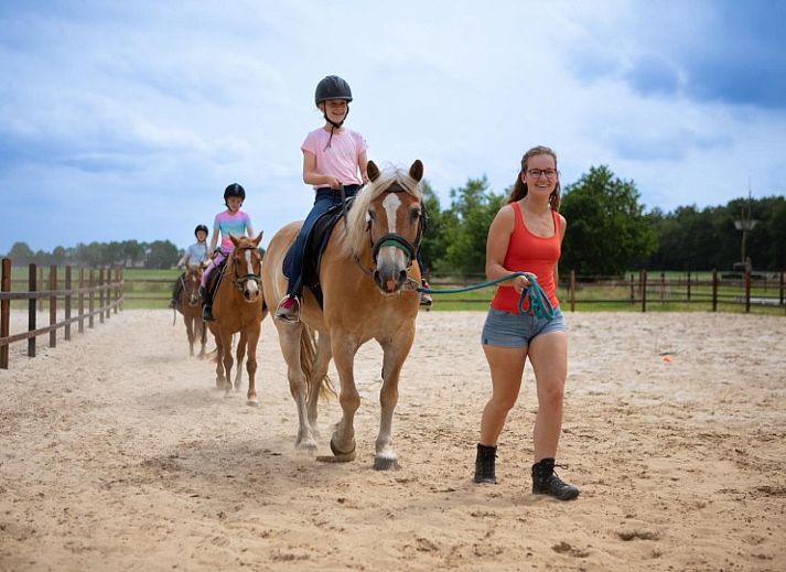 FarmCamps De Bosrand