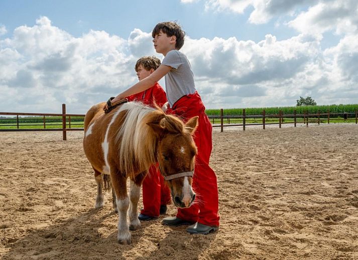 FarmCamps De Bosrand