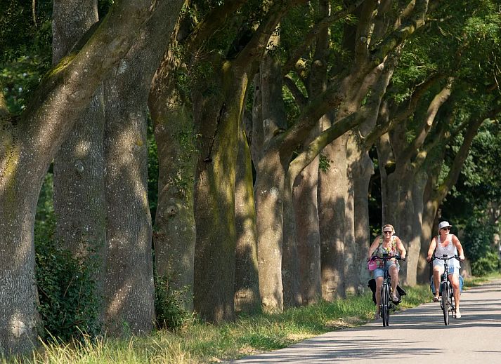 Waterstaete Ossenzijl